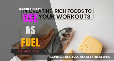 What Fuels Your Liver: Essential Nutrients for Optimal Function