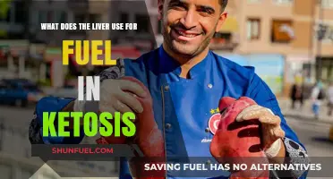 Ketosis and the Liver: Unlocking Fuel Sources for Optimal Function