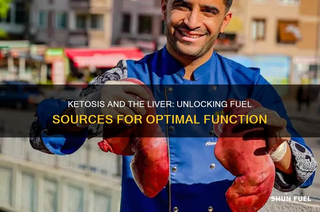 what does the liver use for fuel in ketosis