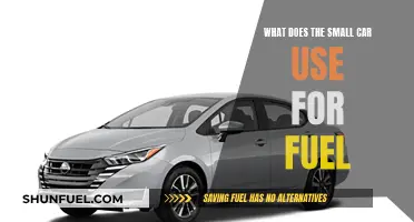 Small Cars, Big Questions: What Fuel Do They Use?