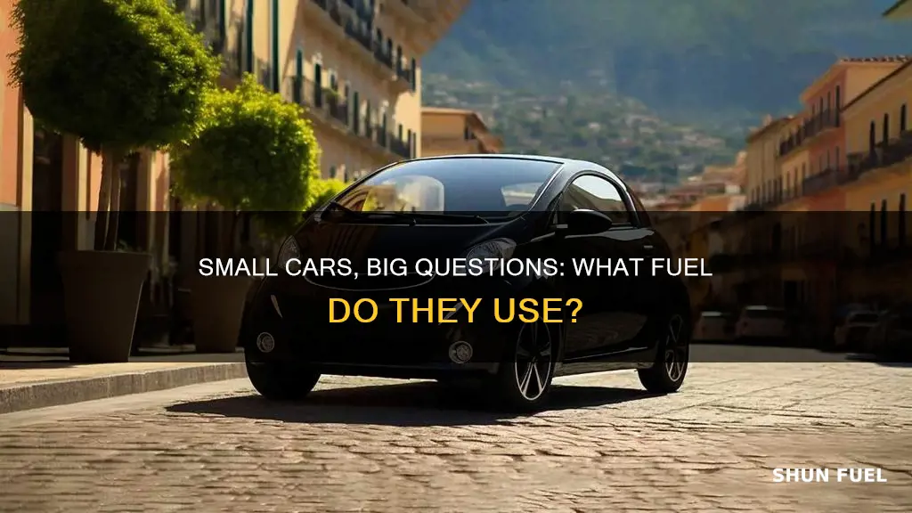 what does the small car use for fuel