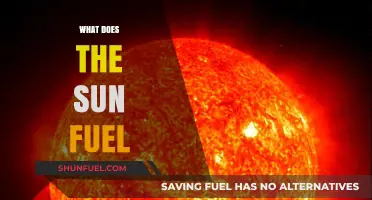 Unveiling the Sun's Power: What Fuels Our Star's Energy?