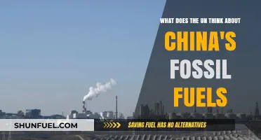 UN's Stance on China's Fossil Fuel Dependence: Insights and Concerns
