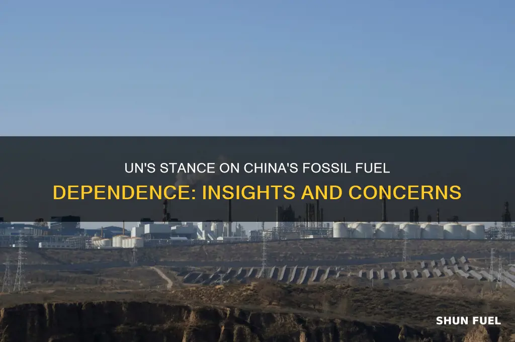 what does the un think about china