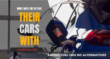 The US Car Fuel: What's Under the Hood?
