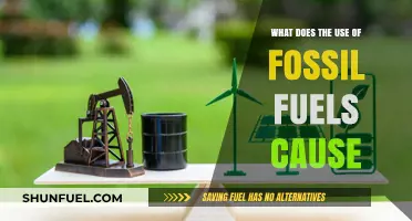 Fossil Fuels' Impact: Environmental Degradation, Climate Change, and Health Risks
