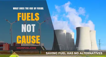 Fossil Fuels' Impact: Unveiling the Surprising Exceptions to Their Harm