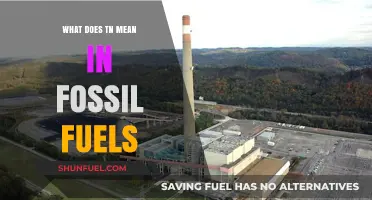 Decoding TN: Unraveling Its Meaning in Fossil Fuel Terminology