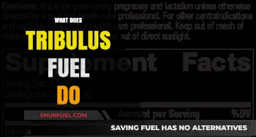 Tribulus Fuel Benefits: Boosting Testosterone, Energy, and Performance Explained