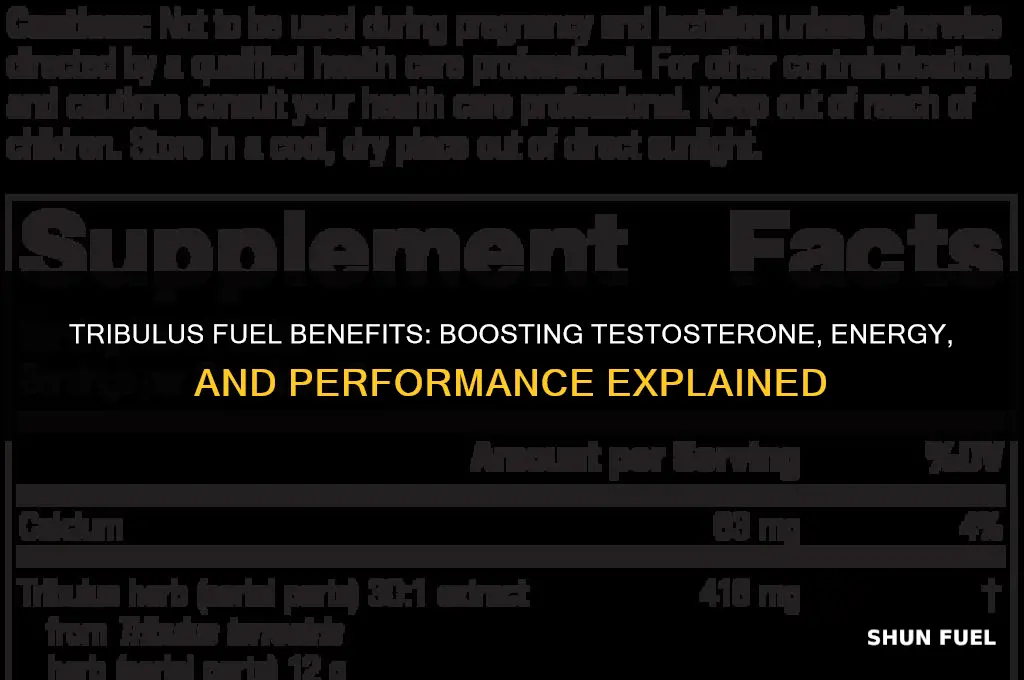 what does tribulus fuel do