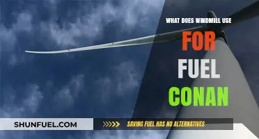 Windmill Fuel Sources Explained: Debunking Myths in Conan's World