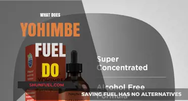 Yohimbe Fuel Explained: Benefits, Uses, and Potential Side Effects