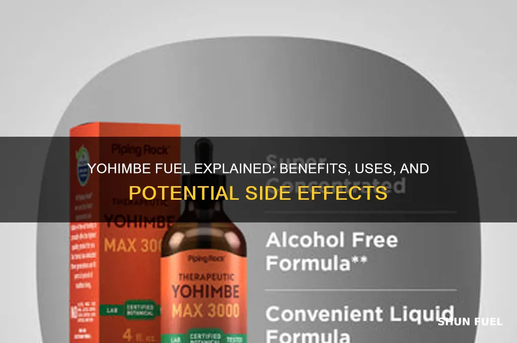 what does yohimbe fuel do