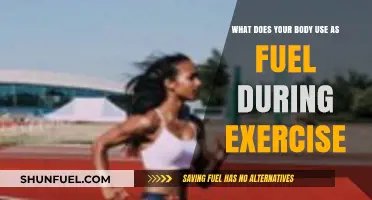 Fuel for Fitness: Understanding Your Body's Energy Sources During Exercise