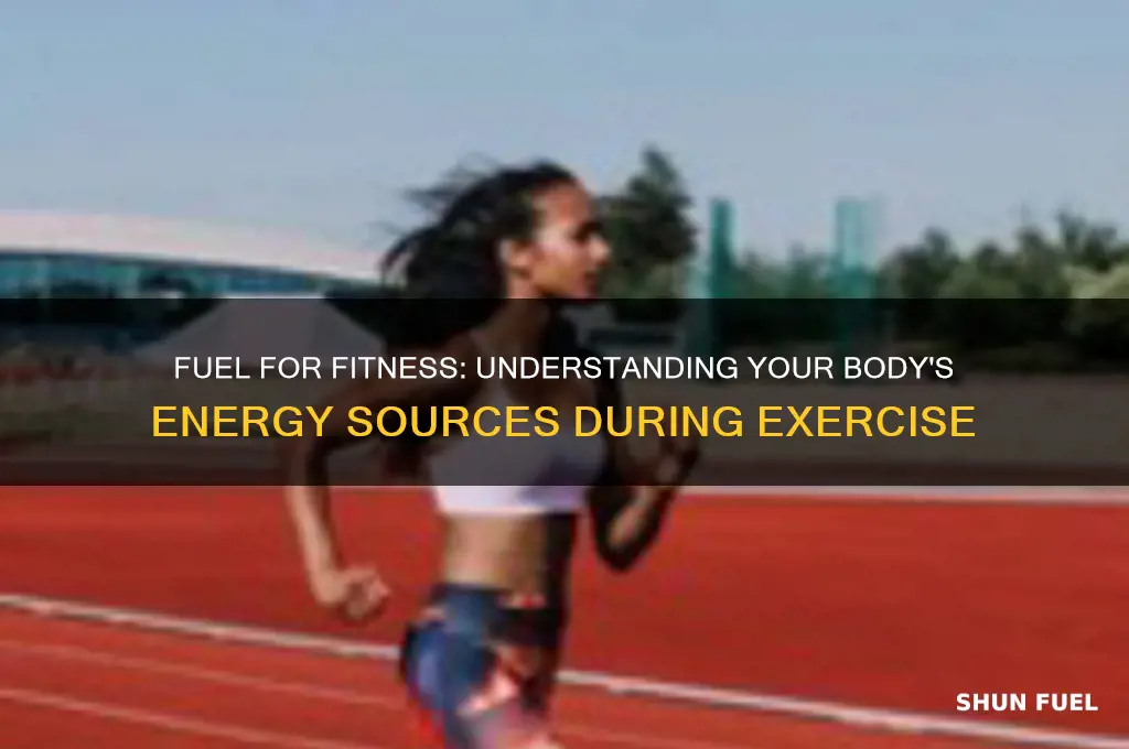 what does your body use as fuel during exercise