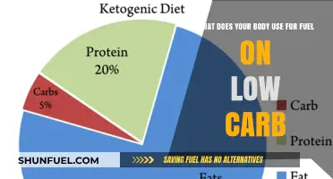 Low-Carb Fuel Sources: How Your Body Adapts and Burns Energy