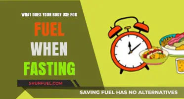 Fasting Fuel: How Your Body Powers Itself Without Food