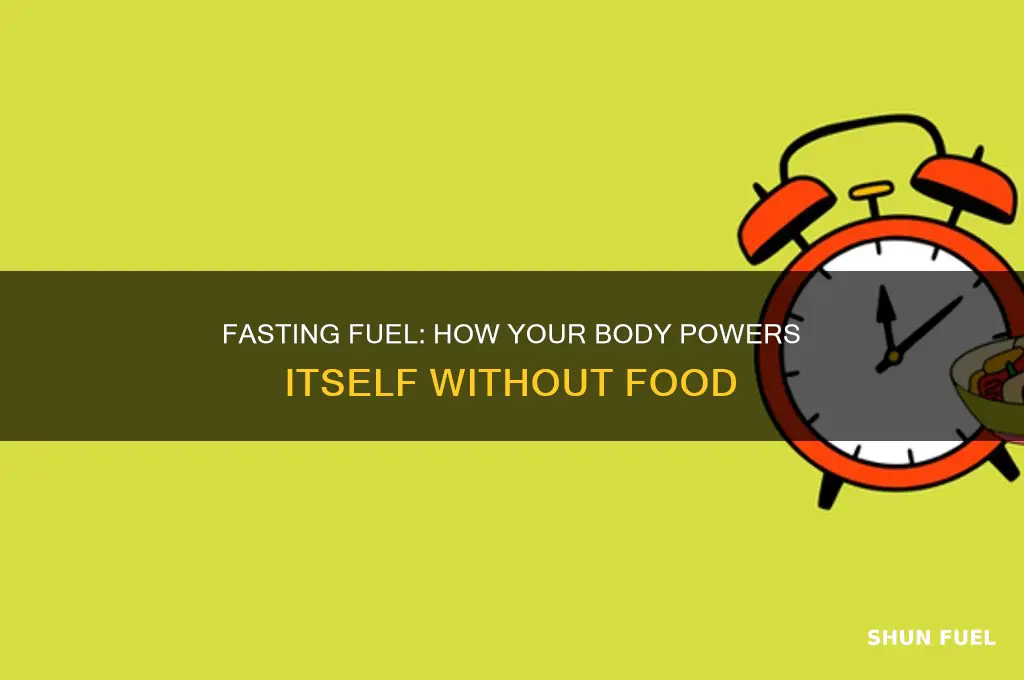 what does your body use for fuel when fasting