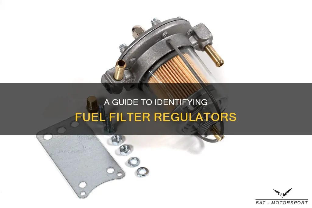 what dose a fuel filter regulator look like