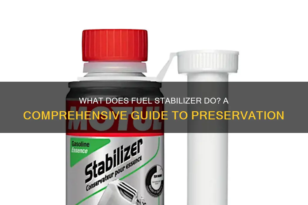 what dose fuel stabilizer do