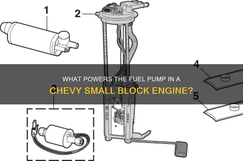 what drive the fuel pump in a chevy small block