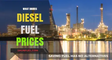 Diesel Fuel Prices: Understanding the Market Dynamics
