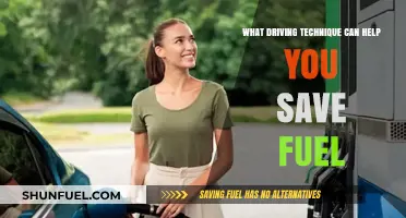 Efficient Driving Techniques to Maximize Fuel Economy and Reduce Costs