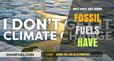 The Dark Side of Fossil Fuels: Burning's Impact