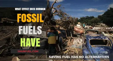 The Dark Side of Fossil Fuels: Harming Our Planet
