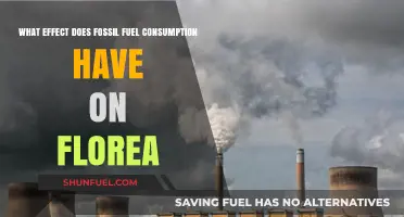 Fossil Fuel Consumption's Devastating Impact on Flora: A Critical Analysis