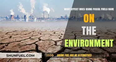 Fossil Fuels' Environmental Impact: Climate Change, Pollution, and Ecosystem Destruction