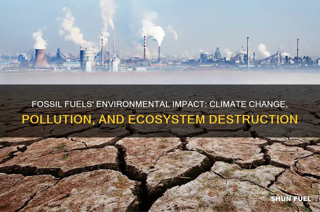 what effect does using fossil fuels have on the environment