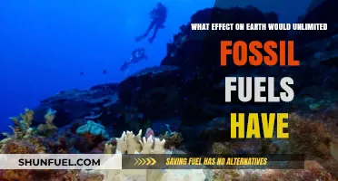 Unlimited Fossil Fuels: Earth's Climate, Ecosystems, and Future at Stake