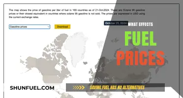 Understanding the Key Factors Influencing Global Fuel Price Fluctuations