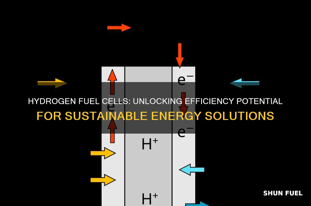 what efficient can hydrogen fuel cells be