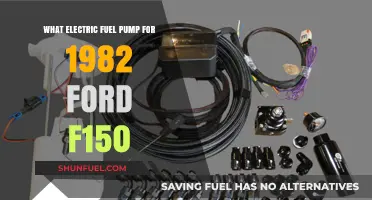 Best Electric Fuel Pump Options for 1982 Ford F150 Upgrade