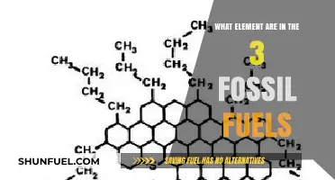 Unveiling the Chemical Composition of Coal, Oil, and Natural Gas