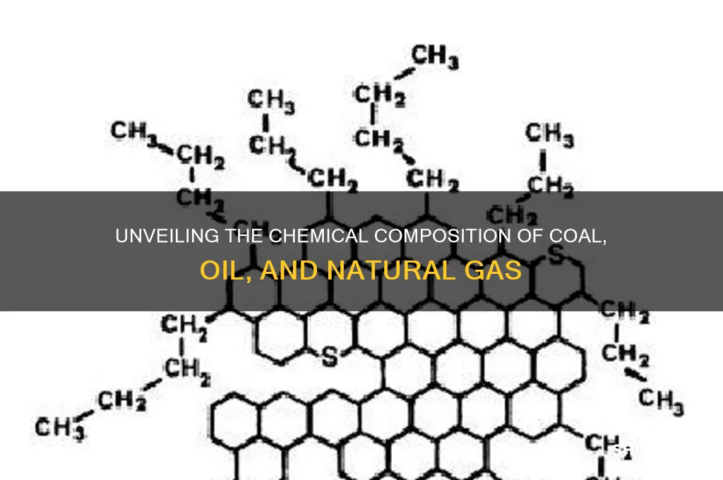 what element are in the 3 fossil fuels