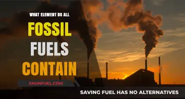 The Common Element in Coal, Oil, and Natural Gas: Carbon