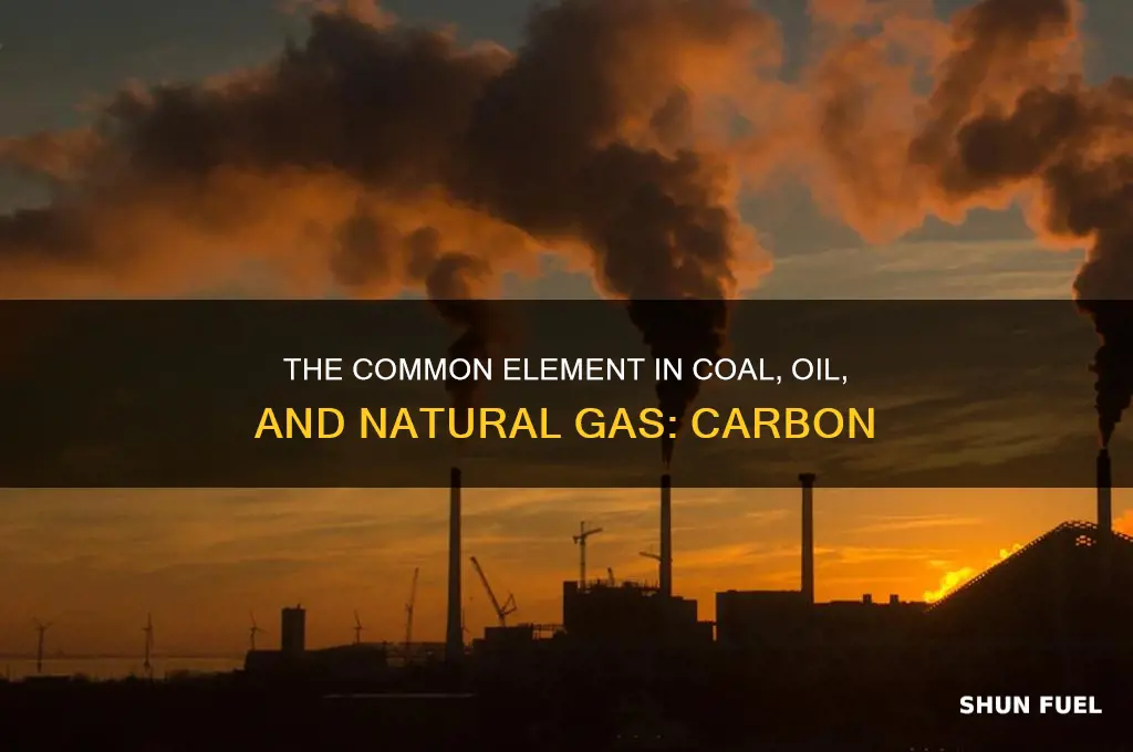 what element do all fossil fuels contain