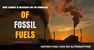 Carbon: The Essential Element Behind Fossil Fuel Formation Explained