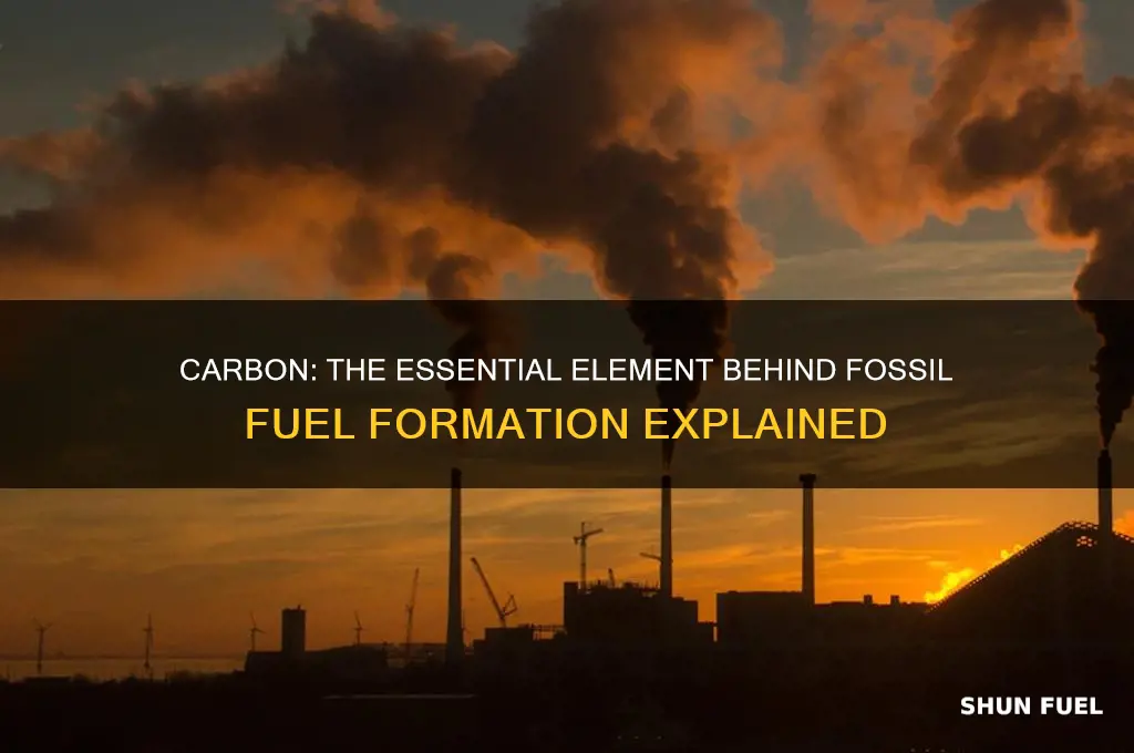what element is necessary for the formation of fossil fuels