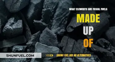 Unveiling Fossil Fuels: Key Elements and Their Composition Explained