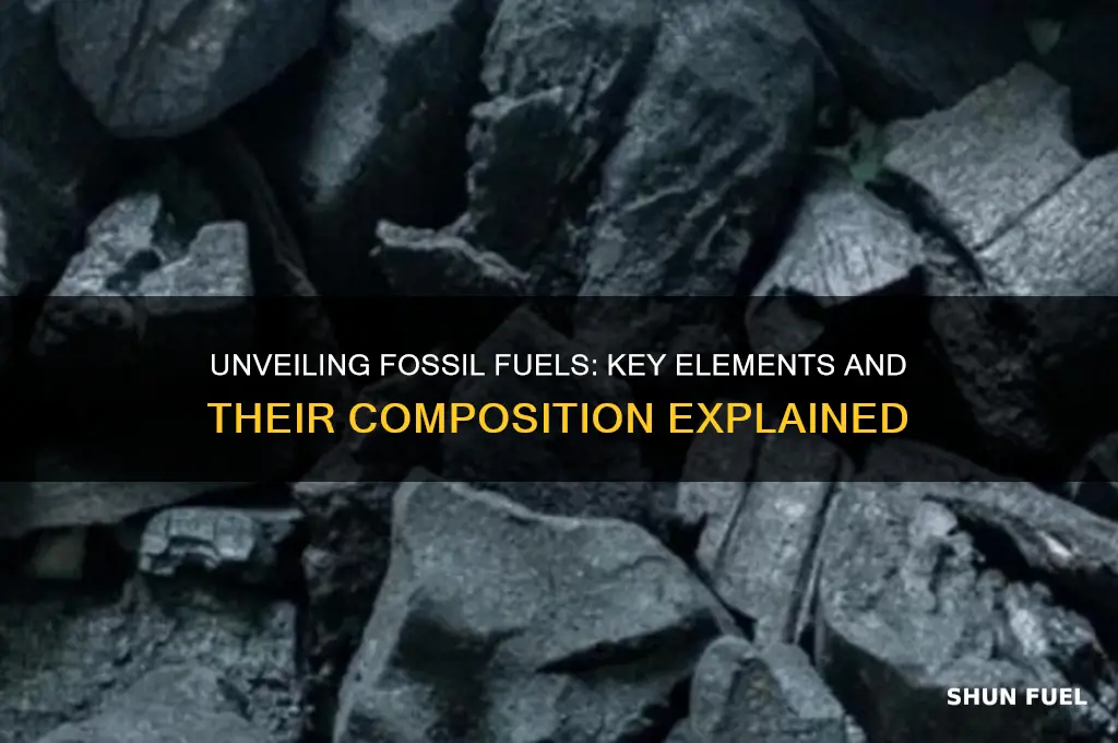what elements are fossil fuels made up of