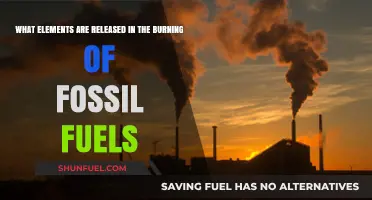 Burning Fossil Fuels: Unveiling the Released Chemical Elements and Impact