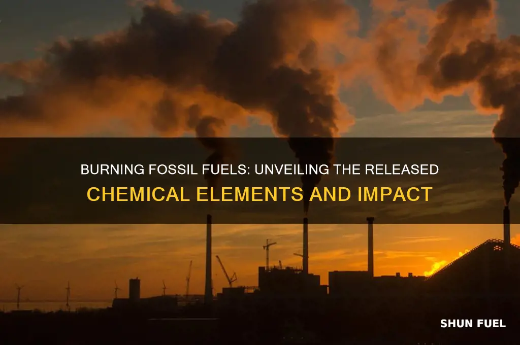 what elements are released in the burning of fossil fuels