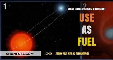 Red Giants' Fuel: Unveiling the Elements Powering Their Cosmic Evolution