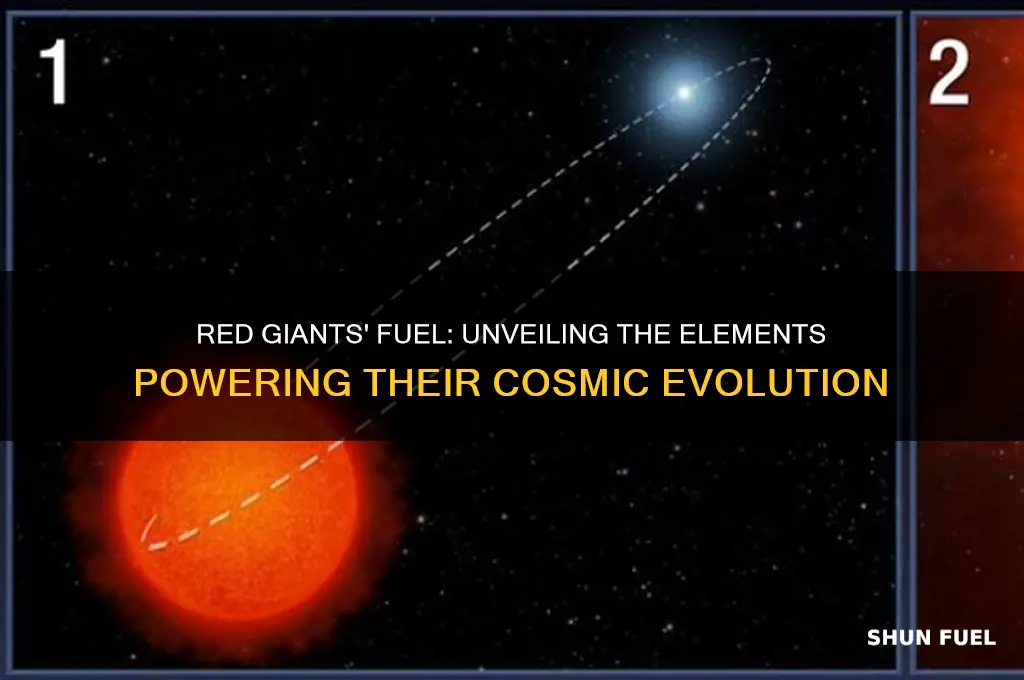 what elements does a red giant use as fuel