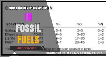 Essential Components of Fossil Fuels: Uncovering Their Key Chemical Elements