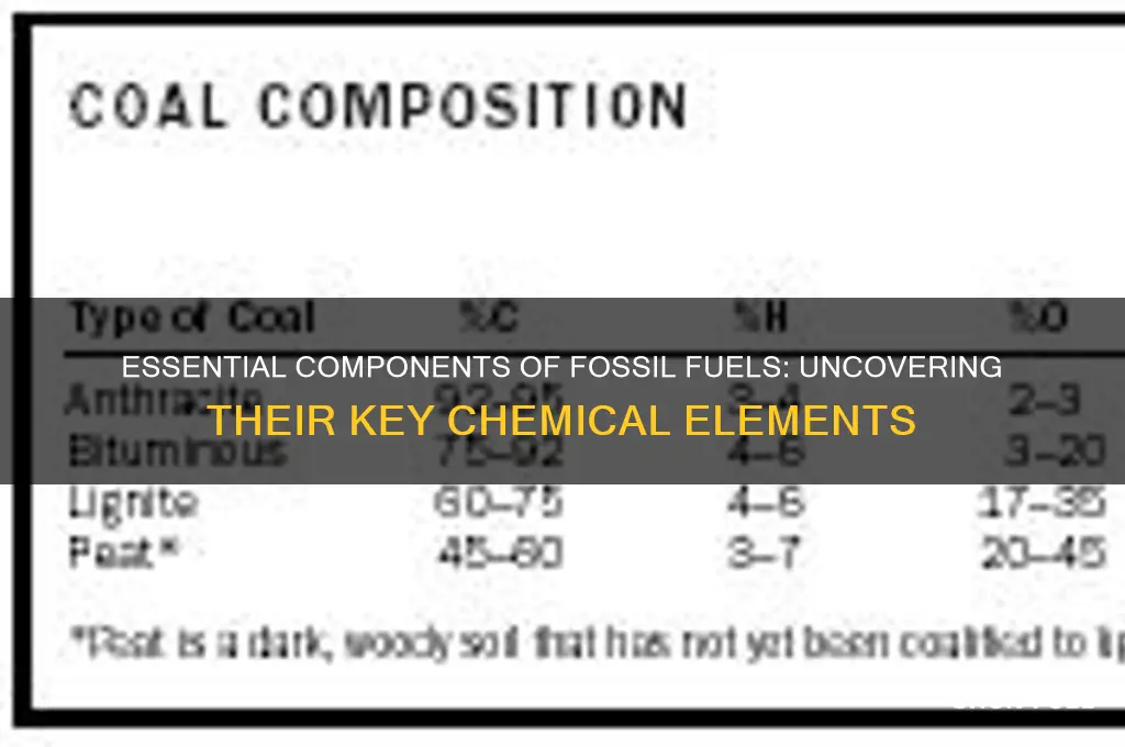 what elements must be contained in fossil fuels